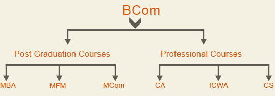 Career Options after Bcom You Should Know